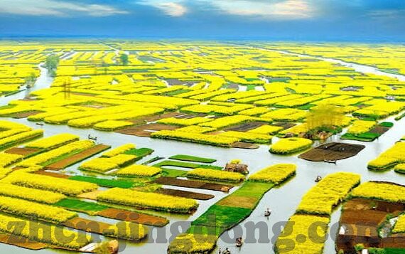 3d动漫精品一区二区三区-3D动漫，一区、二区、三区的艺术盛宴