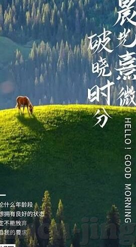麻豆av中文在线看-麻豆av中文在线平台，视觉艺术与文化交流的数字化窗口