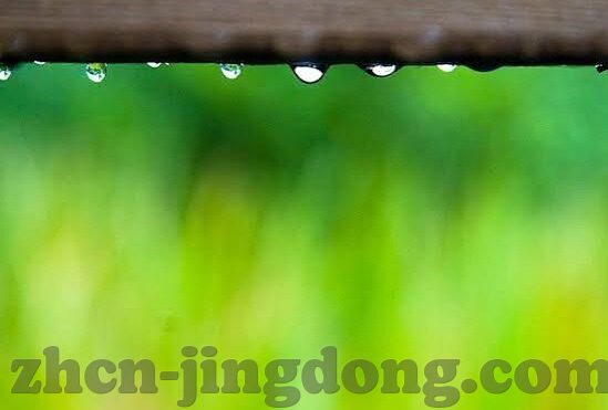 麻豆视频苹果版-麻豆视频苹果版的多维体验与影响初探