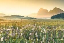 糖心app会员账号-解锁你的娱乐新篇章 —— 糖心app会员体验心得