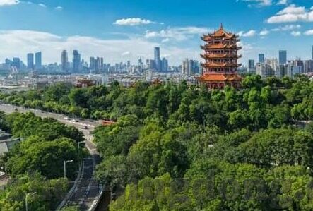 糖心app免费观看-享受无门槛的影视盛宴——糖心app的免费观看体验报告