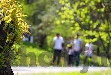 糖心app免费下载官网-一键获取甜蜜，揭秘糖心app免费下载的正确渠道
