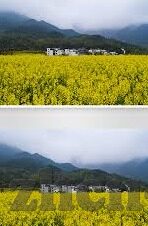 糖心vlog导航下载-糖心Vlog，记录生活美好瞬间的随身导航