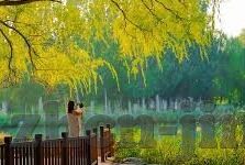 糖心vlog破解版安装包-探索与风险，糖心Vlog安装的另一面