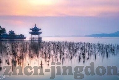 婷婷五天图片在线中文字幕观看-婷婷五天，视觉盛宴的细腻探索