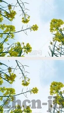 亚洲va中文字幕无码久久不卡-探索亚洲文化的多元魅力，影视艺术的独特视角